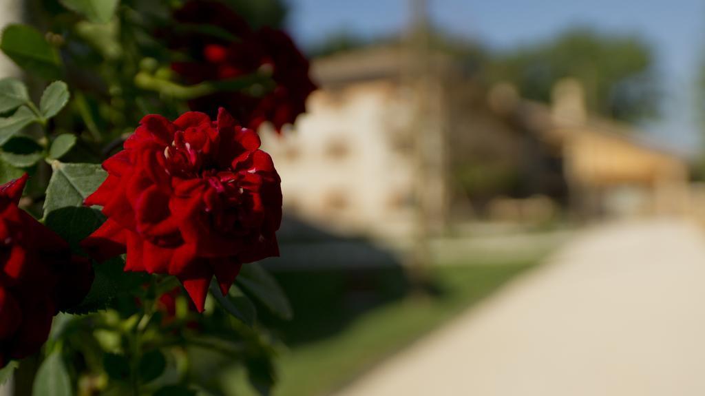 Ca' Muliner Otel Azzano Decimo Dış mekan fotoğraf